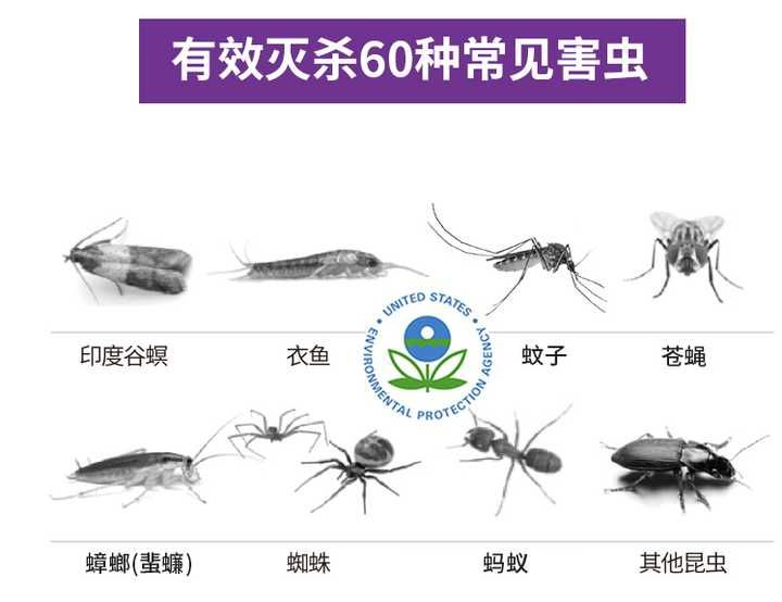 工业灭苍蝇器_灭苍蝇的方法_怎么灭苍蝇