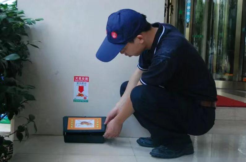 老鼠杀杀杀表情包_杀老鼠_老鼠杀了会有报应吗