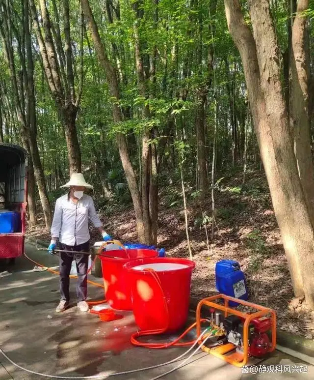 如果防治白蚁_灭白蚁防治_灭白蚁防治方法