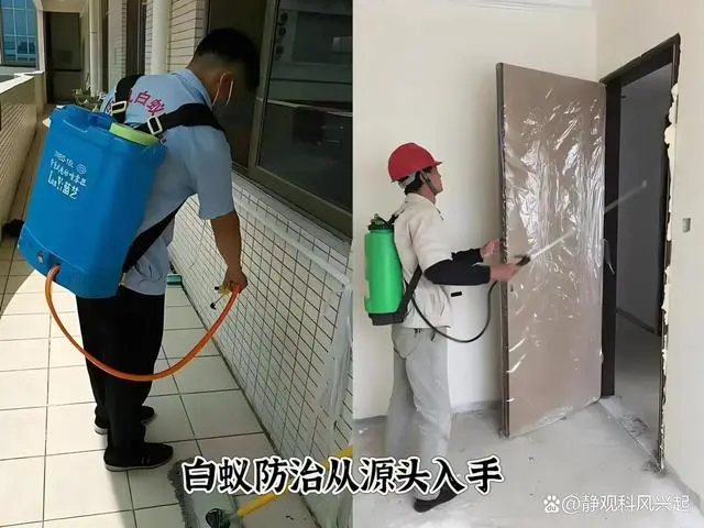 灭白蚁防治方法_如果防治白蚁_灭白蚁防治