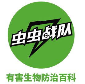 臭臭虫动画片第三季_臭臭虫_臭臭虫动画片开始
