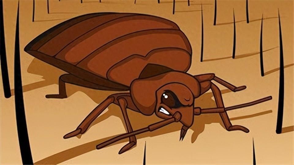 杀臭虫药剂_呋虫胺可以杀死臭虫吗_灭臭虫呋虫胺
