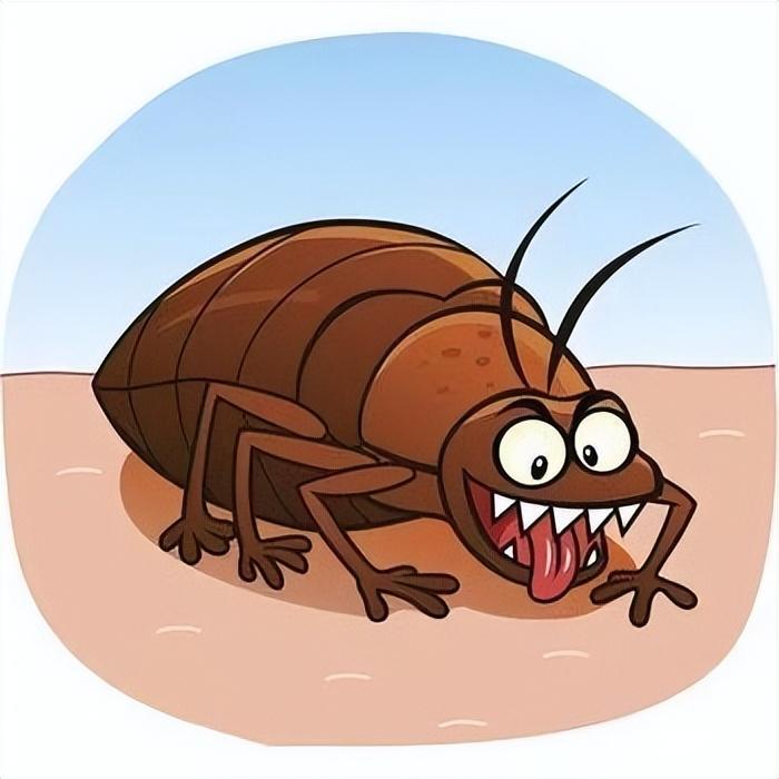 呋虫胺可以杀死臭虫吗_杀臭虫药剂_灭臭虫呋虫胺