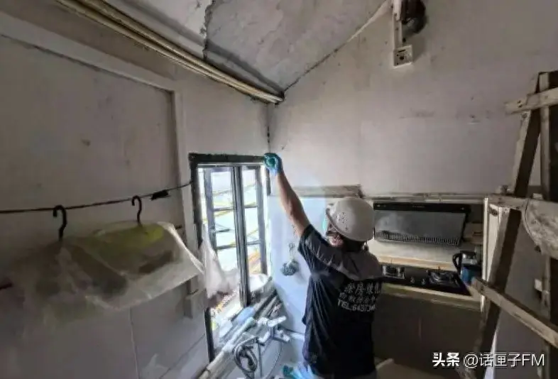 灭白蚁收费吗_灭白蚁服务_灭白蚁的收费标准