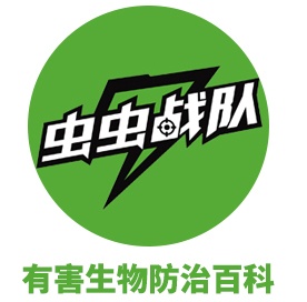 怎样消灭跳蚤_消灭跳蚤最有效的方法_跳蚤怕什么如何消灭跳蚤