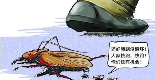 臭虫呋虫胺_灭臭虫呋虫胺_臭虫杀虫药