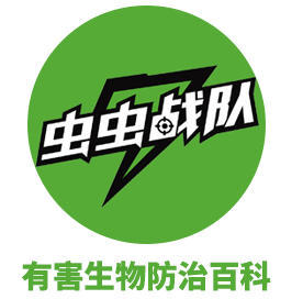 臭臭虫动画片第三季_臭狗熊臭狗熊_臭臭虫