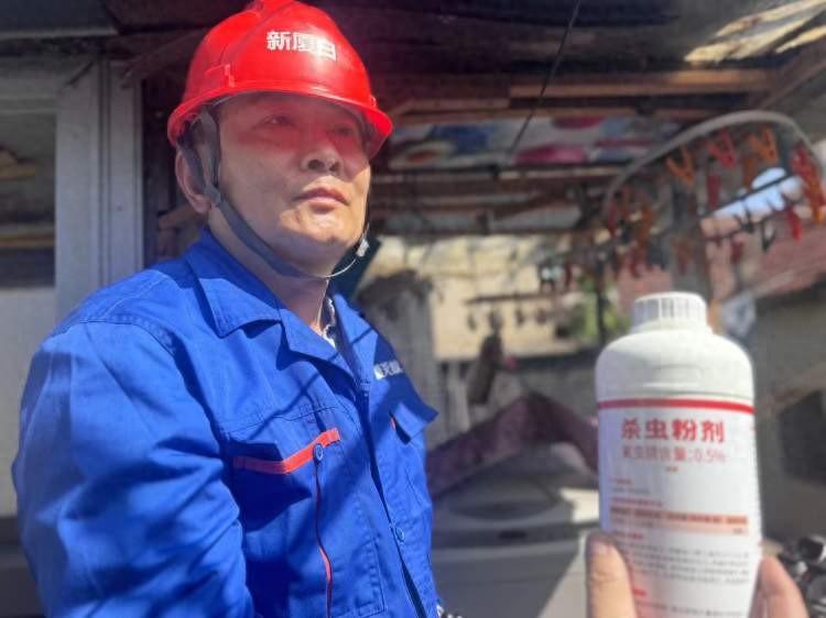 灭白蚁服务_灭白蚁的收费标准_灭白蚁报价清单范本