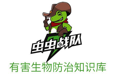 灭白蚁的收费标准_灭白蚁粉对人体有害吗_白蚁怎么灭