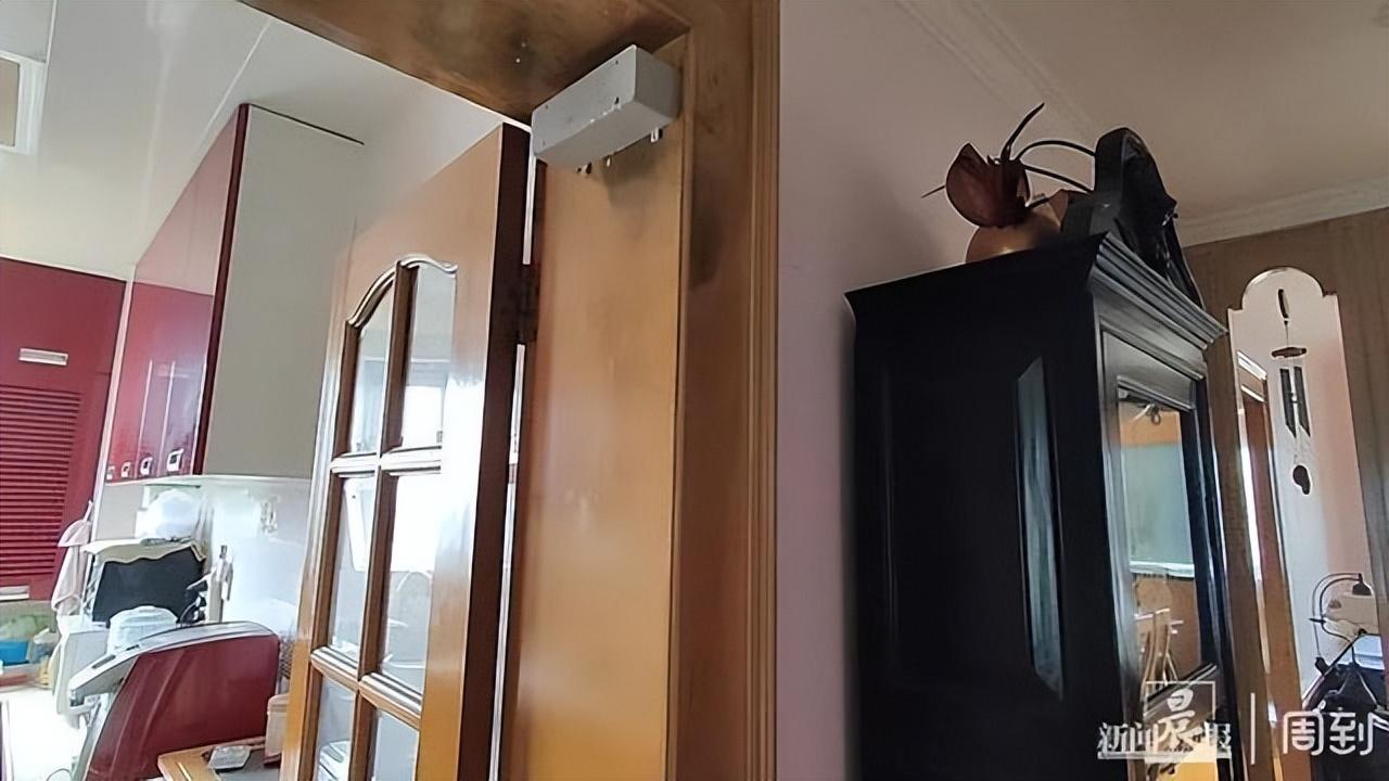 专业灭白蚁一次多少钱_灭白蚁服务_灭白蚁的收费标准