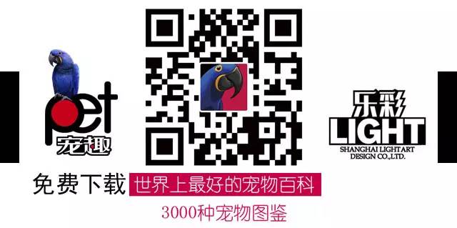 灭跳蚤最好的喷雾剂_灭跳蚤的喷雾_那种喷雾剂能杀跳蚤