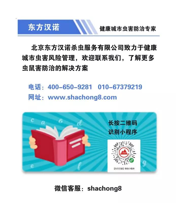 灭鼠公司_灭鼠公司收费明细_常州灭鼠公司