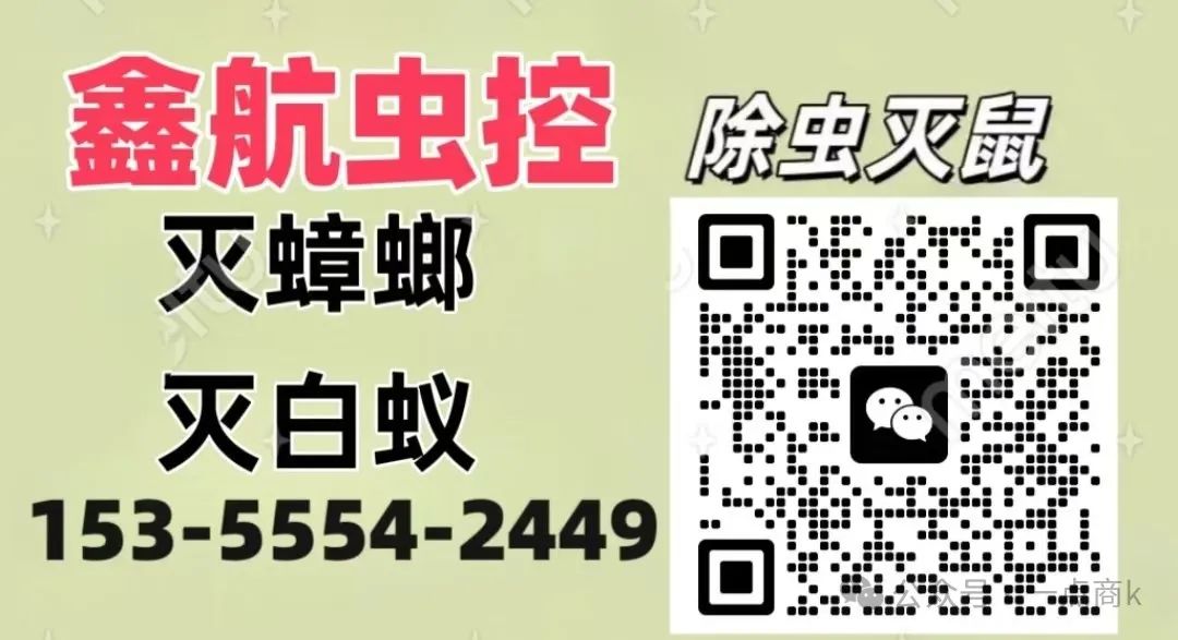 灭鼠公司电话_灭鼠公司收费明细_灭鼠公司