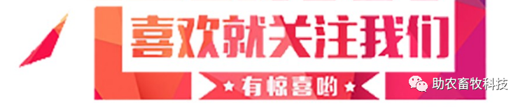 灭土跳蚤有效方法视频_有什么特效方法治土跳蚤_灭跳蚤最有效的土方法