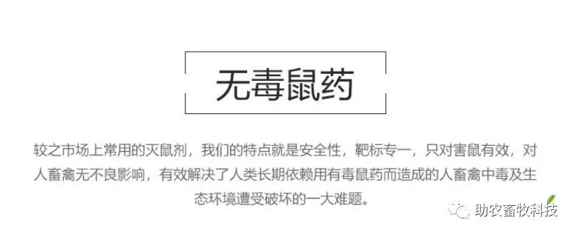 灭跳蚤最有效的土方法_有什么特效方法治土跳蚤_灭土跳蚤有效方法视频