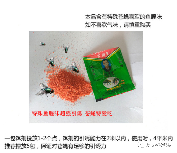 有什么特效方法治土跳蚤_灭跳蚤最有效的土方法_灭土跳蚤有效方法视频
