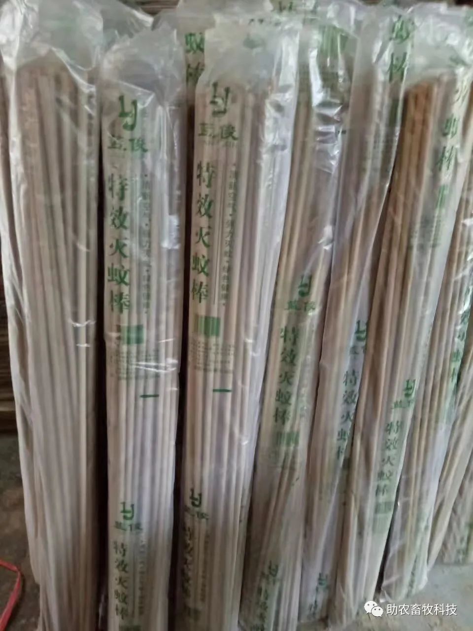 有什么特效方法治土跳蚤_灭跳蚤最有效的土方法_灭土跳蚤有效方法视频