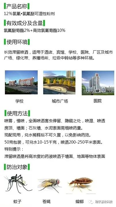 灭土跳蚤有效方法视频_有什么特效方法治土跳蚤_灭跳蚤最有效的土方法