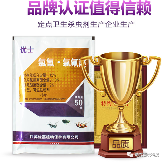 有什么特效方法治土跳蚤_灭跳蚤最有效的土方法_灭土跳蚤有效方法视频