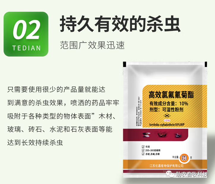 灭土跳蚤有效方法视频_有什么特效方法治土跳蚤_灭跳蚤最有效的土方法