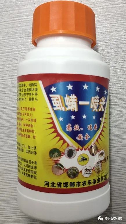 灭土跳蚤有效方法视频_有什么特效方法治土跳蚤_灭跳蚤最有效的土方法
