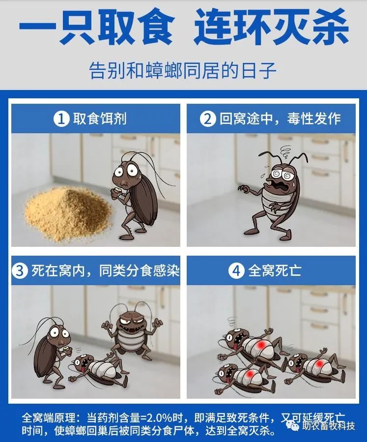 灭跳蚤最有效的土方法_灭土跳蚤有效方法视频_有什么特效方法治土跳蚤
