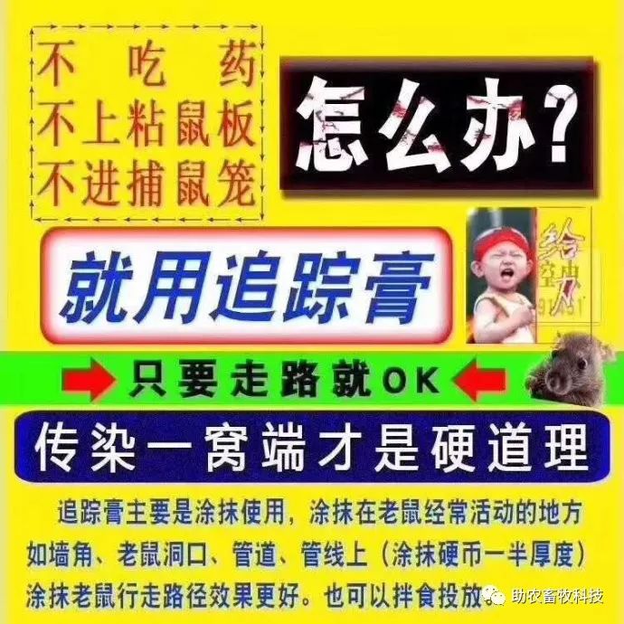 灭跳蚤最有效的土方法_灭土跳蚤有效方法视频_有什么特效方法治土跳蚤