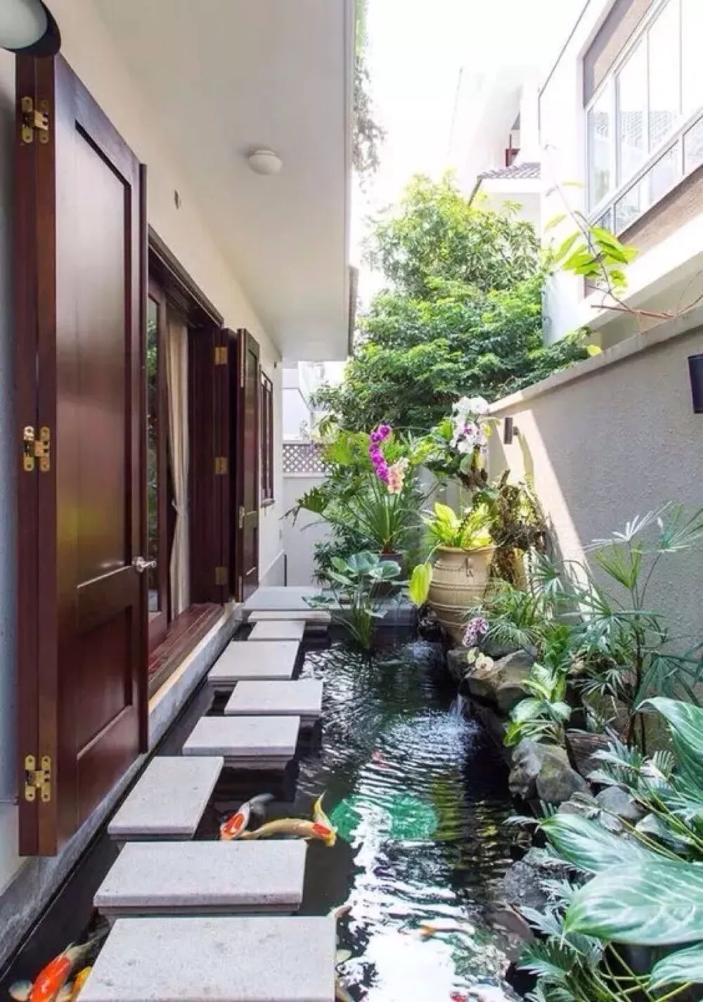 灭土跳蚤有效方法视频_灭跳蚤最有效的土方法_灭跳蚤土办法