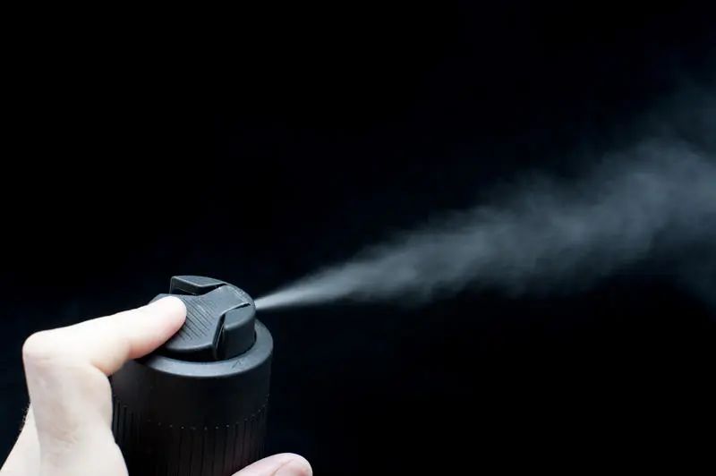 床上杀臭虫的喷什么药_床臭虫_怎么灭床上臭虫