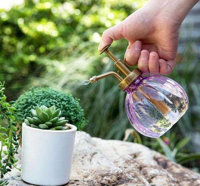 灭苍蝇用什么药最好_灭苍蝇药物_灭苍蝇药质量排行榜