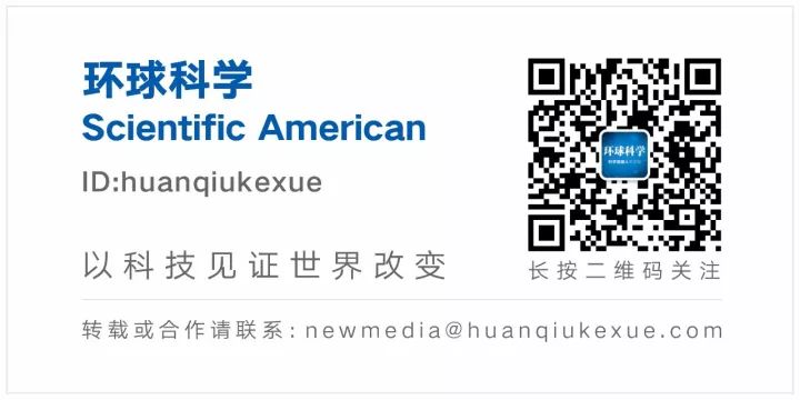 臭狗熊臭狗熊_臭臭虫动画片开始_臭臭虫
