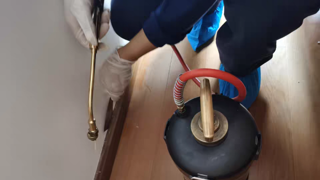 家庭低成本灭白蚁绝招,灭白蚁