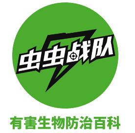 灭白蚁药的主要成分_白蚁药灭白蚁的原理_灭白蚁的药