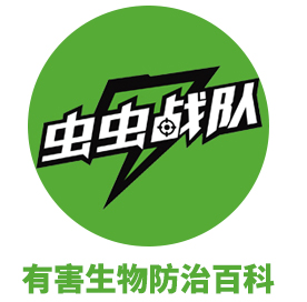 灭白蚁的药_白蚁药灭白蚁的原理_灭白蚁的药水对人体有害吗