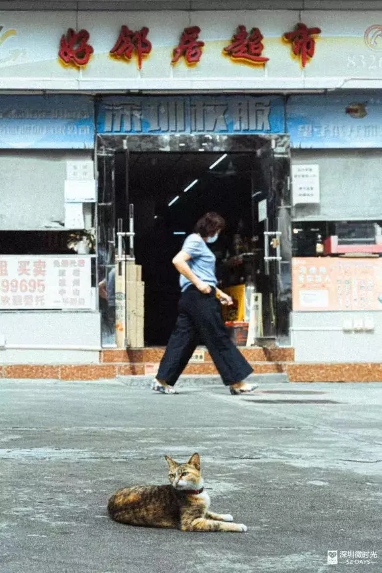 灭白蚁公司电话热线_灭白蚁的公司_灭白蚁公司多少钱一次