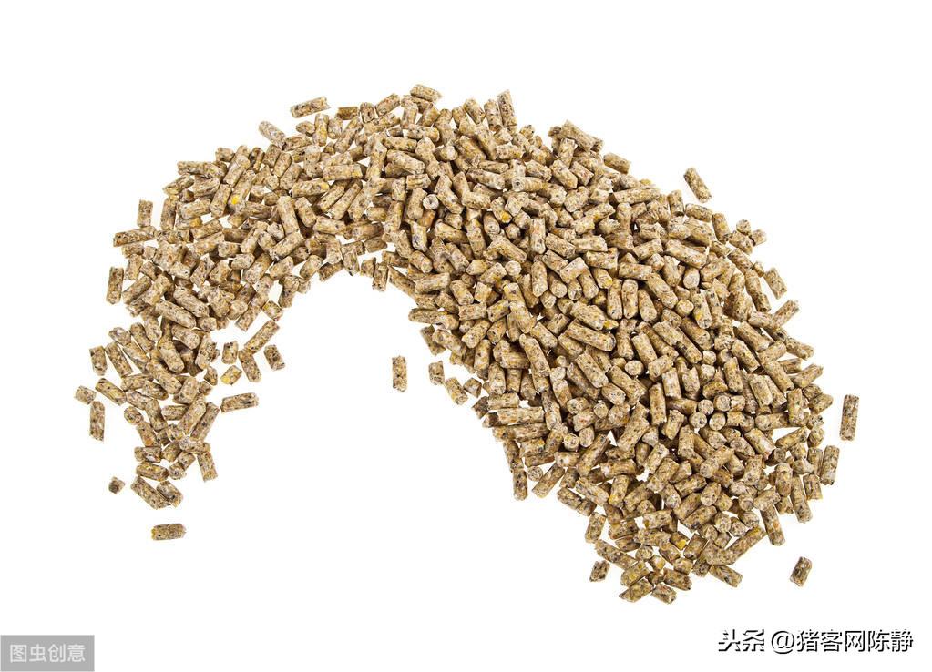 猪圈杀苍蝇什么好_猪场杀苍蝇_猪场灭苍蝇