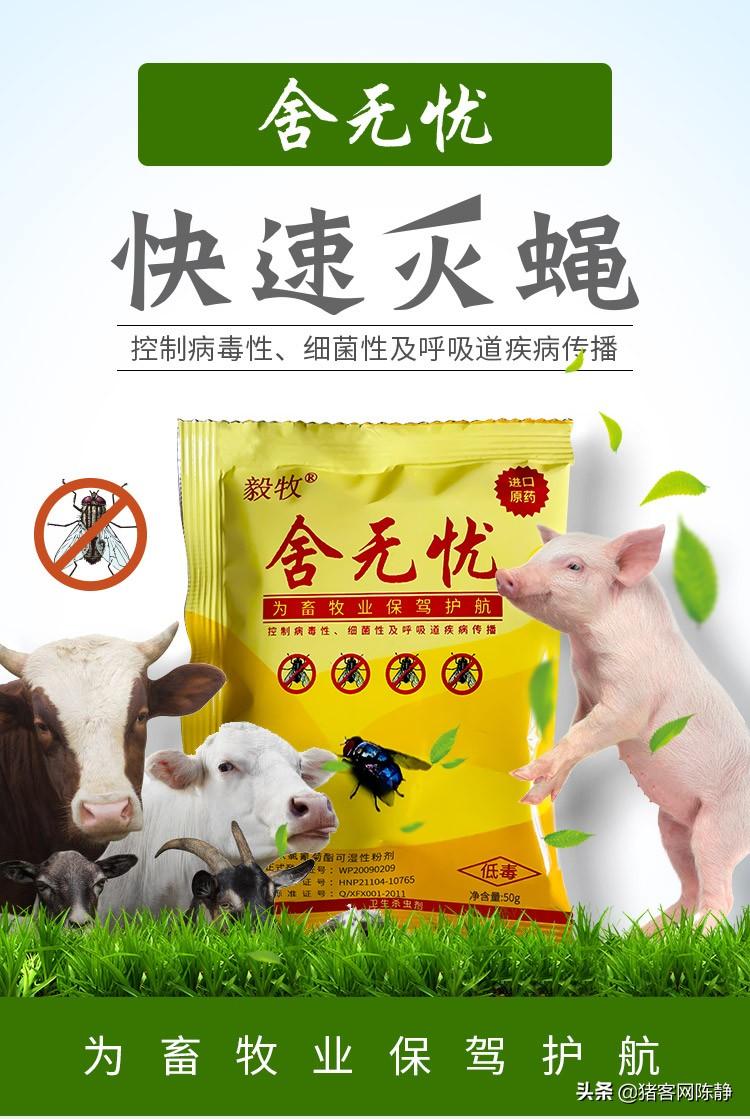 猪圈杀苍蝇什么好_猪场杀苍蝇_猪场灭苍蝇