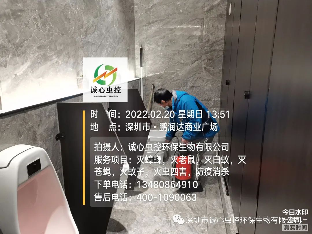 怎么除臭虫的味道_虫除臭简单方法图片_除臭虫最简单的方法