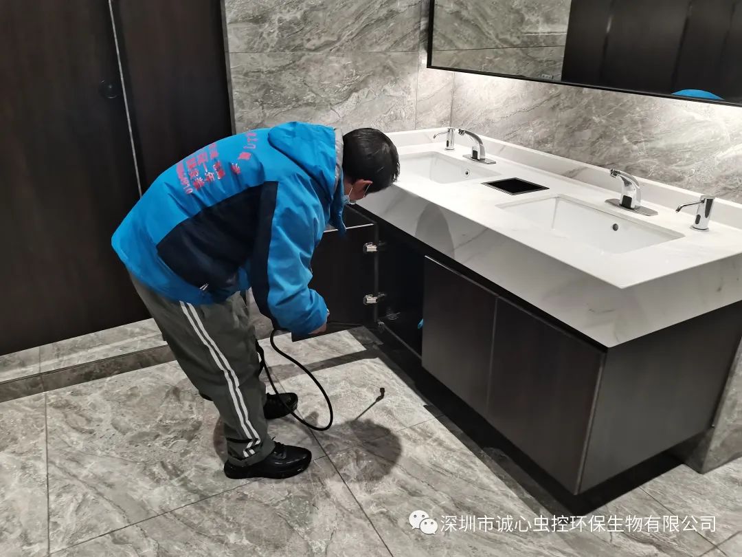 虫除臭简单方法图片_除臭虫最简单的方法_怎么除臭虫的味道