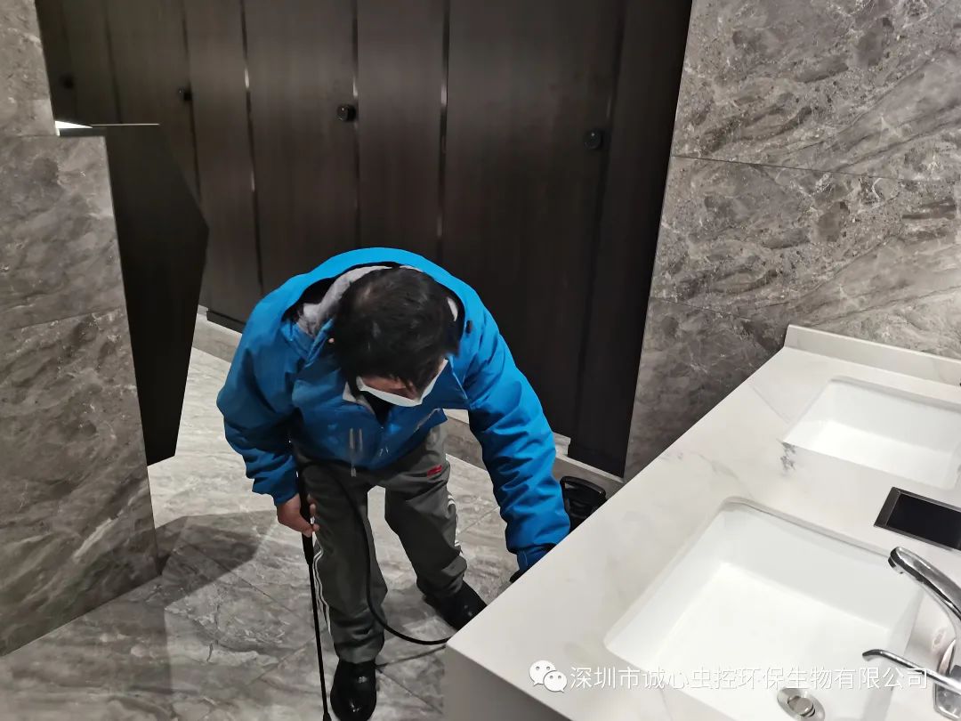 除臭虫最简单的方法_虫除臭简单方法图片_怎么除臭虫的味道