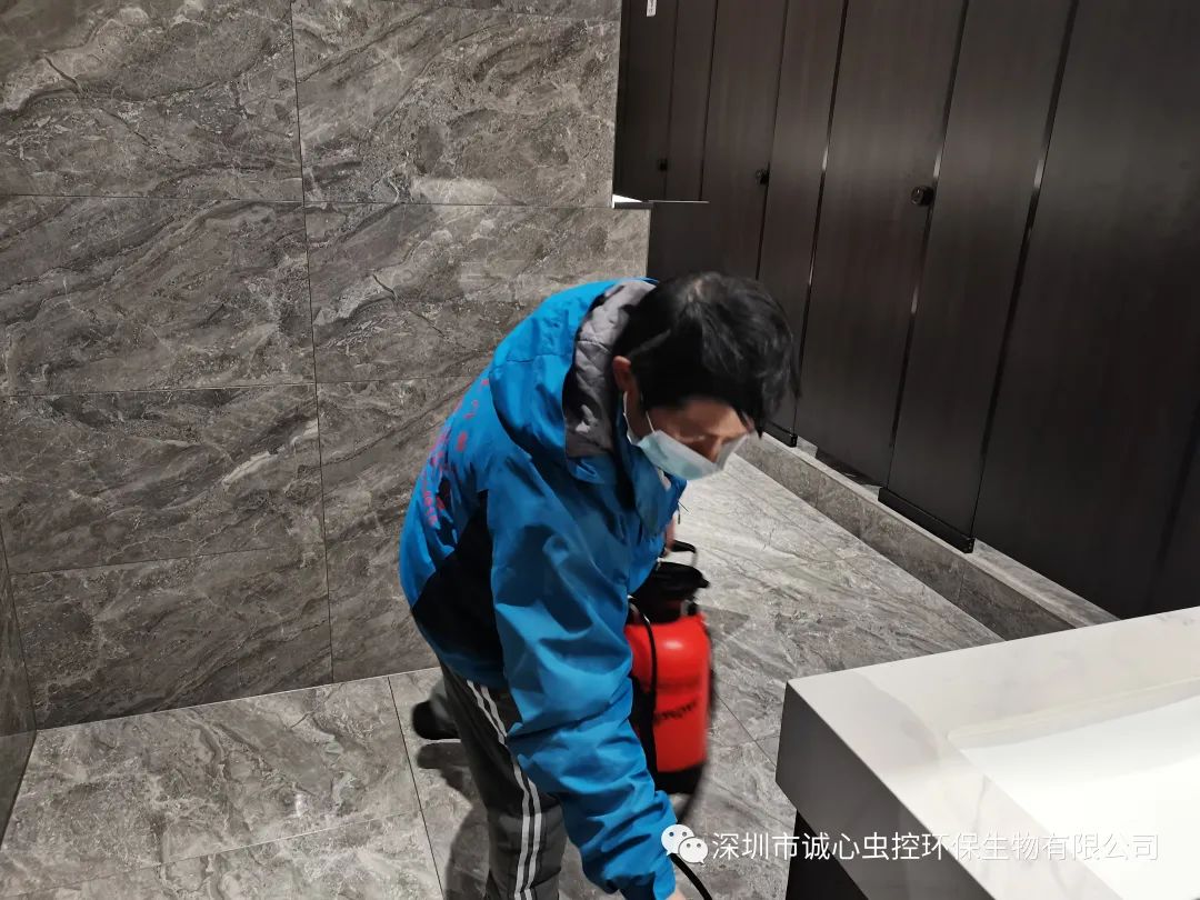 虫除臭简单方法图片_除臭虫最简单的方法_怎么除臭虫的味道