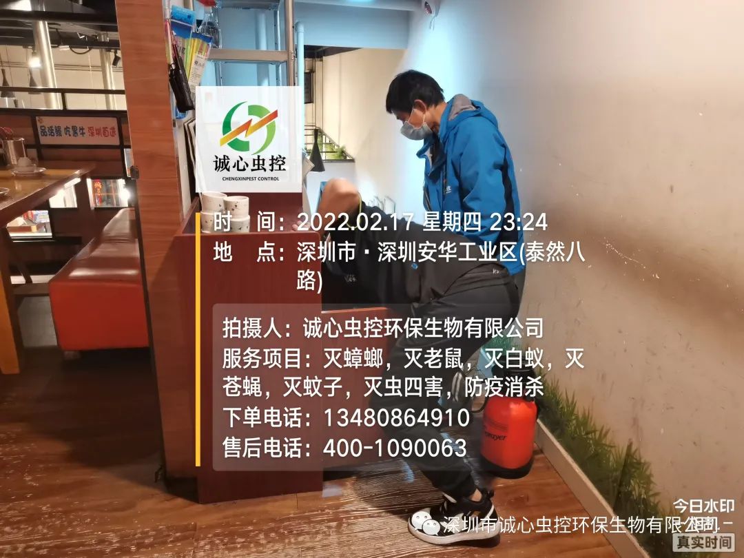 怎么除臭虫的味道_虫除臭简单方法图片_除臭虫最简单的方法