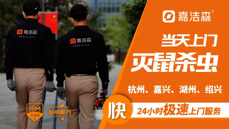 上门灭鼠大概多少钱_上门清除老鼠_灭老鼠上门服务