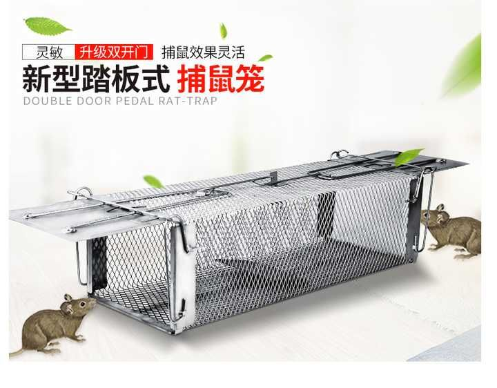 如何灭老鼠_灭老鼠_老鼠怎么灭
