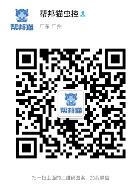 街口中心区除跳蚤消杀老鼠 灭蟑螂 杀白蚁上门公司电话价格多少