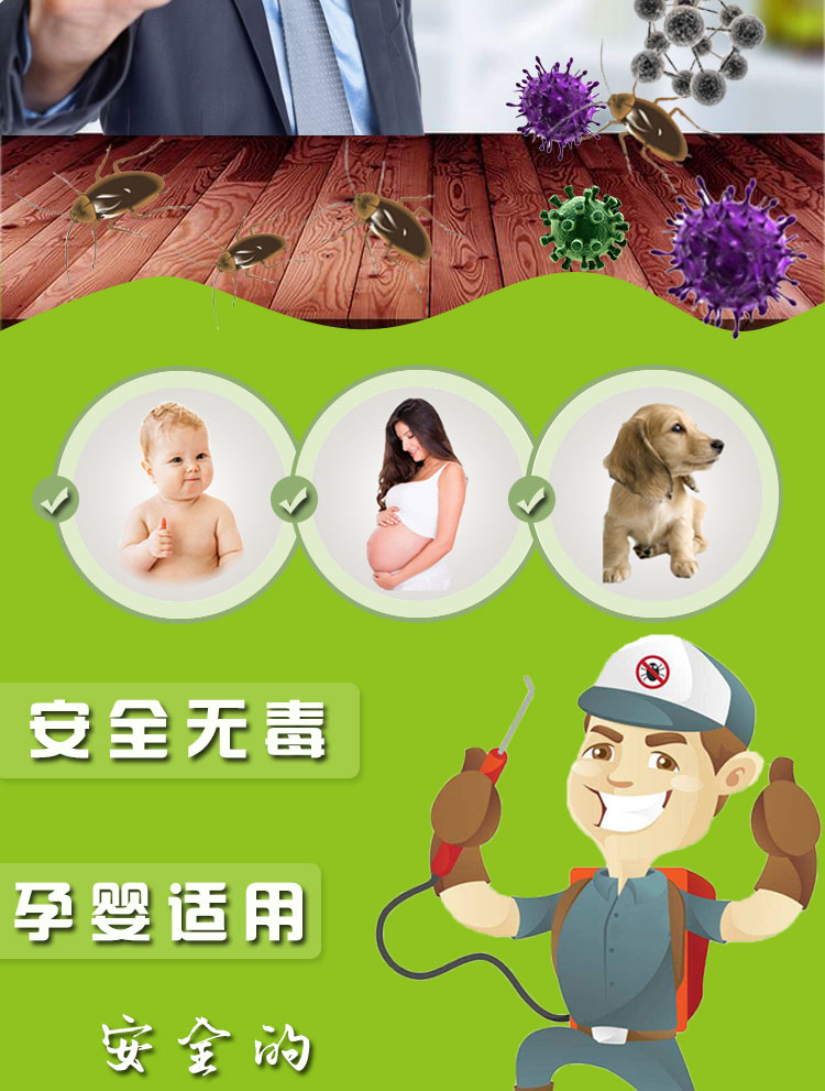 街口中心区除跳蚤消杀老鼠 灭蟑螂 杀白蚁上门公司电话价格多少