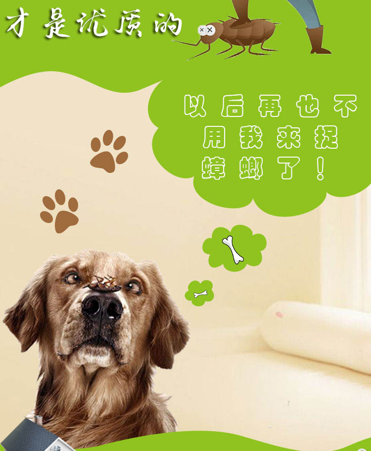 街口中心区除跳蚤消杀老鼠 灭蟑螂 杀白蚁上门公司电话价格多少