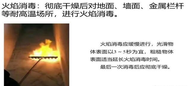 猪场灭苍蝇_猪场杀苍蝇_猪场专用灭苍蝇药