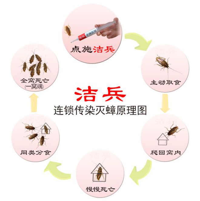 整窝死蟑螂药_蟑螂药一窝端药的配方_灭蟑螂药强效一窝端