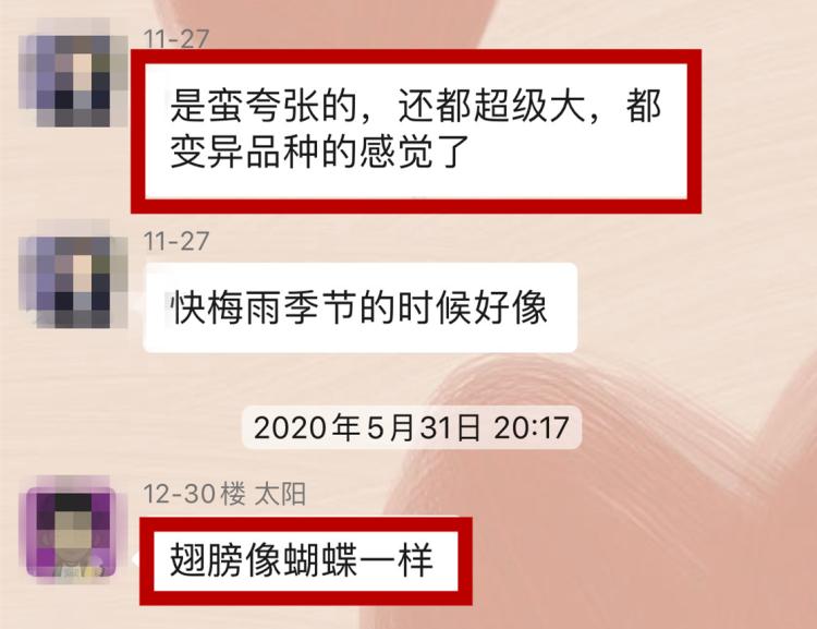 灭白蚁的收费标准_专业灭白蚁一次多少钱_灭白蚁收费吗